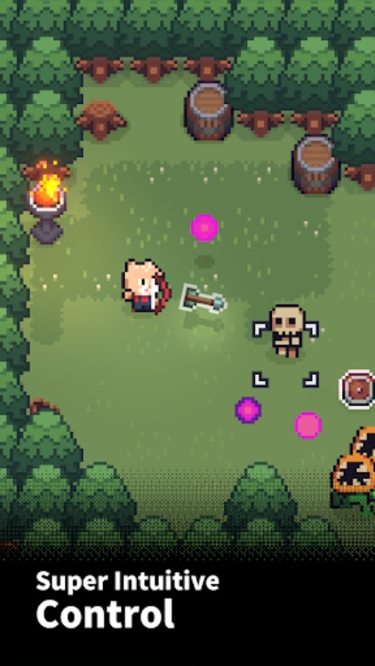 The Way Home: Pixel Roguelike