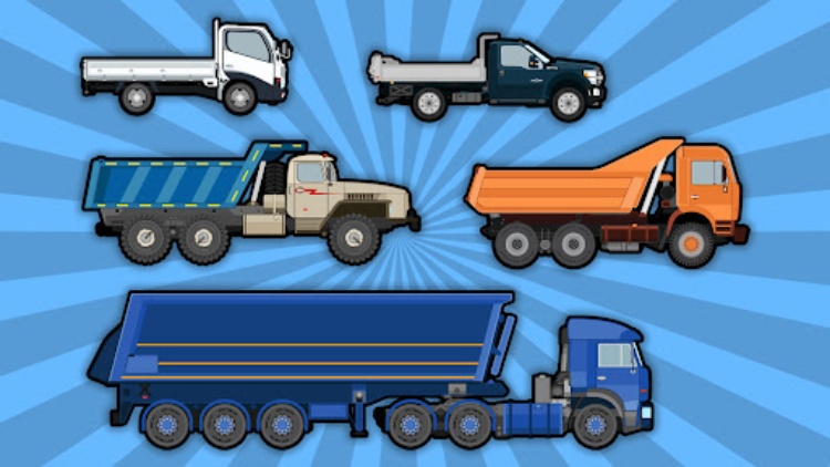 Trucker  Overloaded Trucks