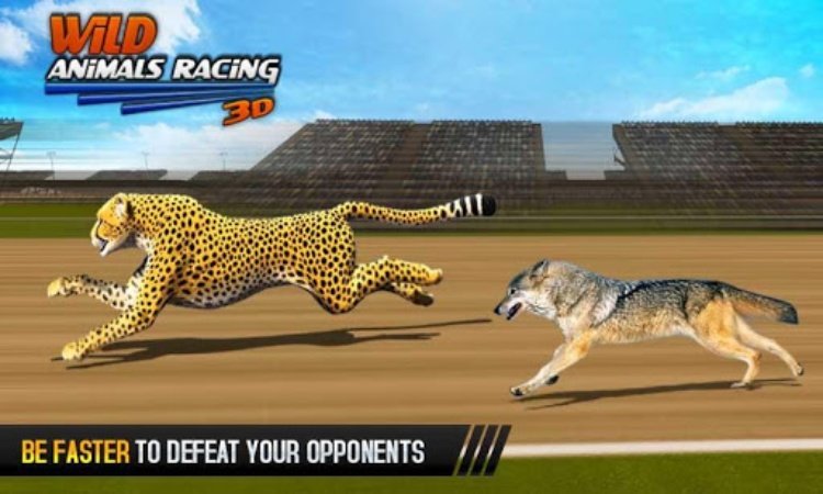 野生动物赛车3D