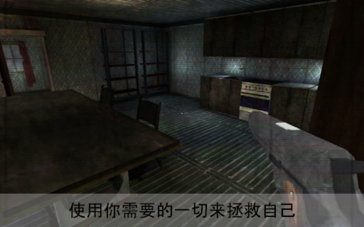 Painscape  恐怖屋