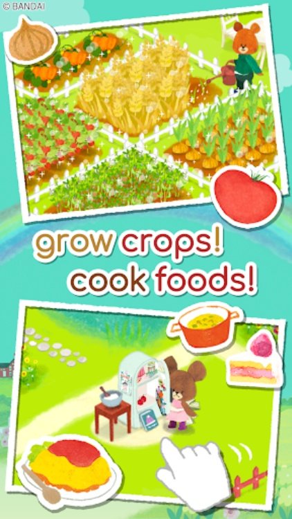 The Bears' School: Jackies Hap