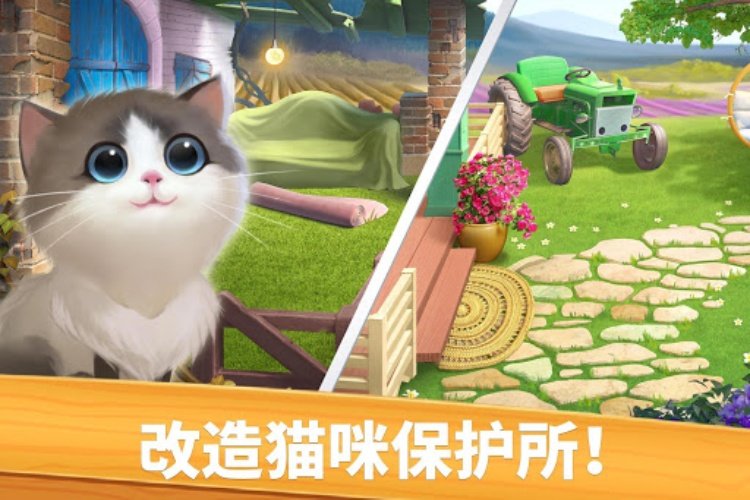Meow Match