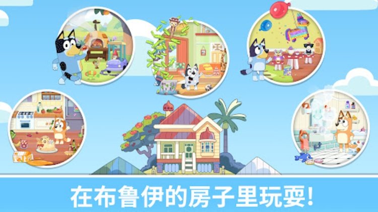 布鲁伊  一起玩吧