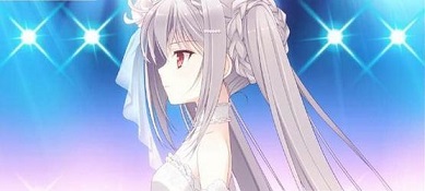 近月少女的礼仪安卓直装版