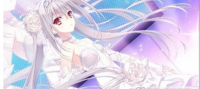 近月少女的礼仪安卓直装版
