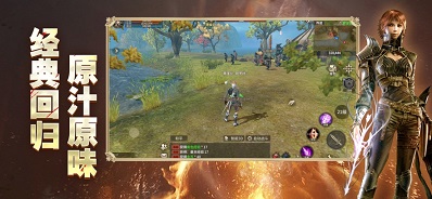 奇迹世界起源欢娱版本