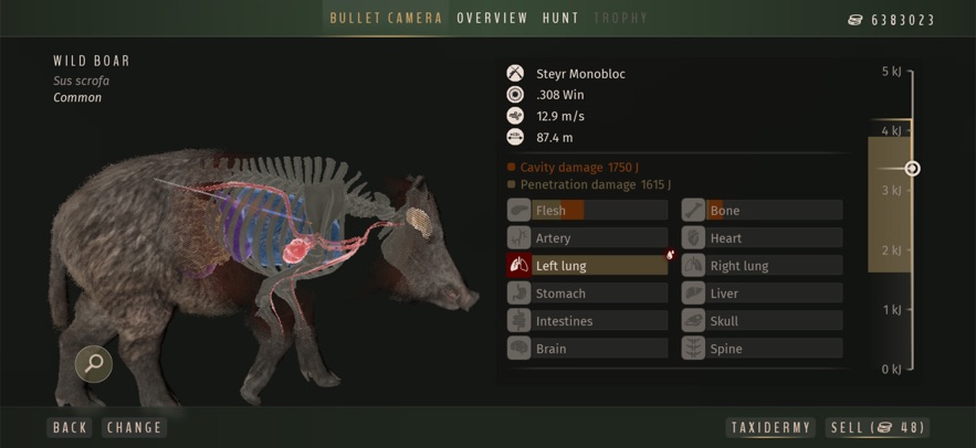 猎人之道狂野欧洲手游