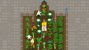 小小露台手机版