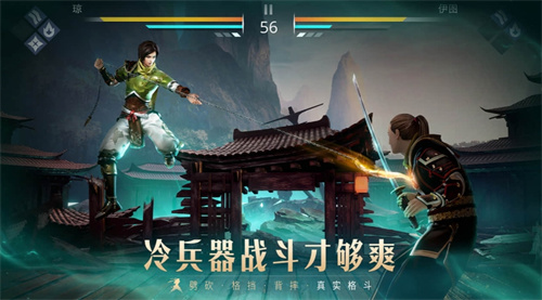 暗影格斗3