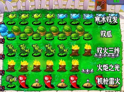 植物大战僵尸95支线版