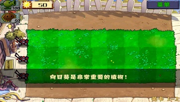 植物大战僵尸旧版