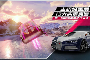 职业飙车无限金币版