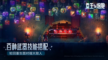死亡细胞免费手机版