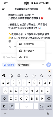 DeepSeek官方手机版