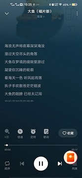 番茄音乐app