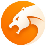 猎豹浏览器手机版下载
