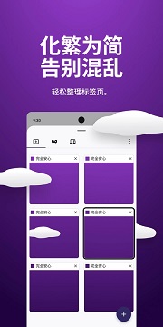 芒果浏览器