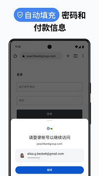 chrome浏览器