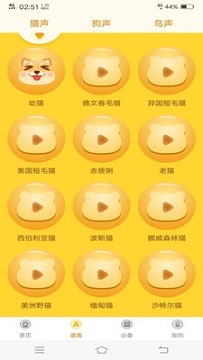 动物翻译器