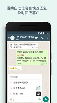 whatsap官方版