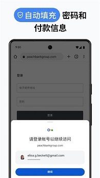 chrome浏览器