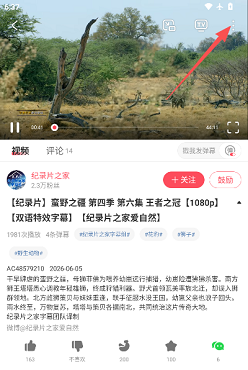 acfun流鼻血版