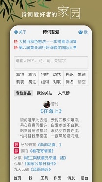 诗词吾爱检测工具免费版