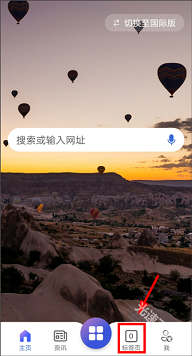 必应浏览器