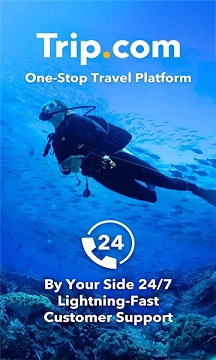 tripcom携程国际版