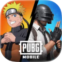 pubg国际版手游下载