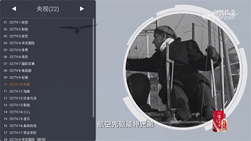 webview电视app