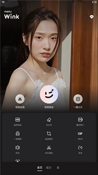wink软件