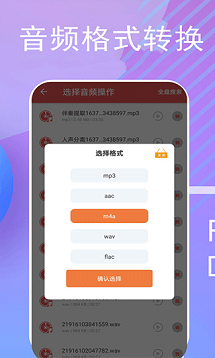 音频伴奏提取器