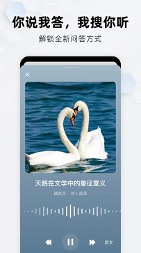 ai搜索软件