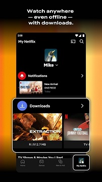 netflixapp安卓版