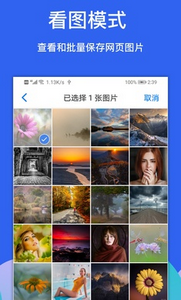 alook浏览器
