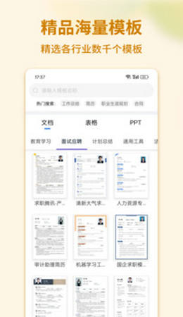 word文档