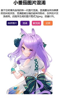 小番茄混淆