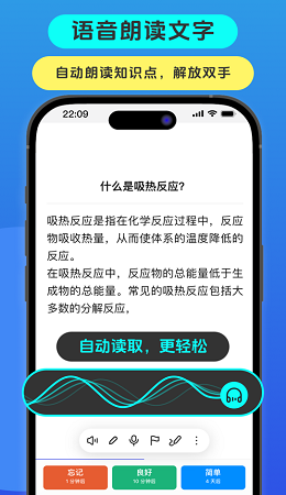 anki