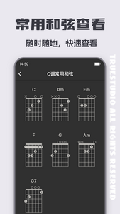 专业调音器老版本