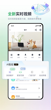 魔镜慧眼