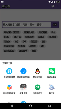 磁力猫