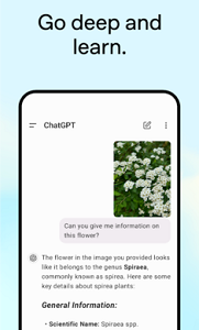 chatGPT