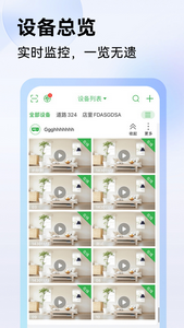 seetong官方正版
