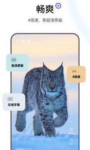 讯雷刘览器