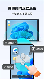 todesk